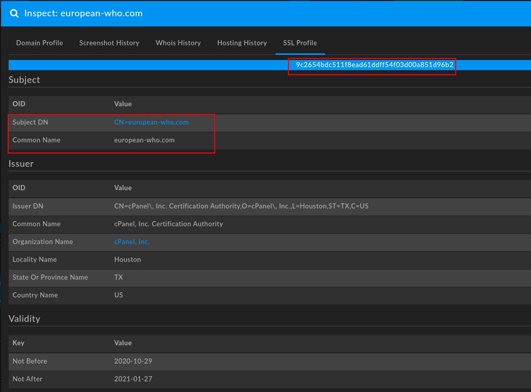 Screenshot in DomainTools Iris of CN-europoean0who.com domain Profile